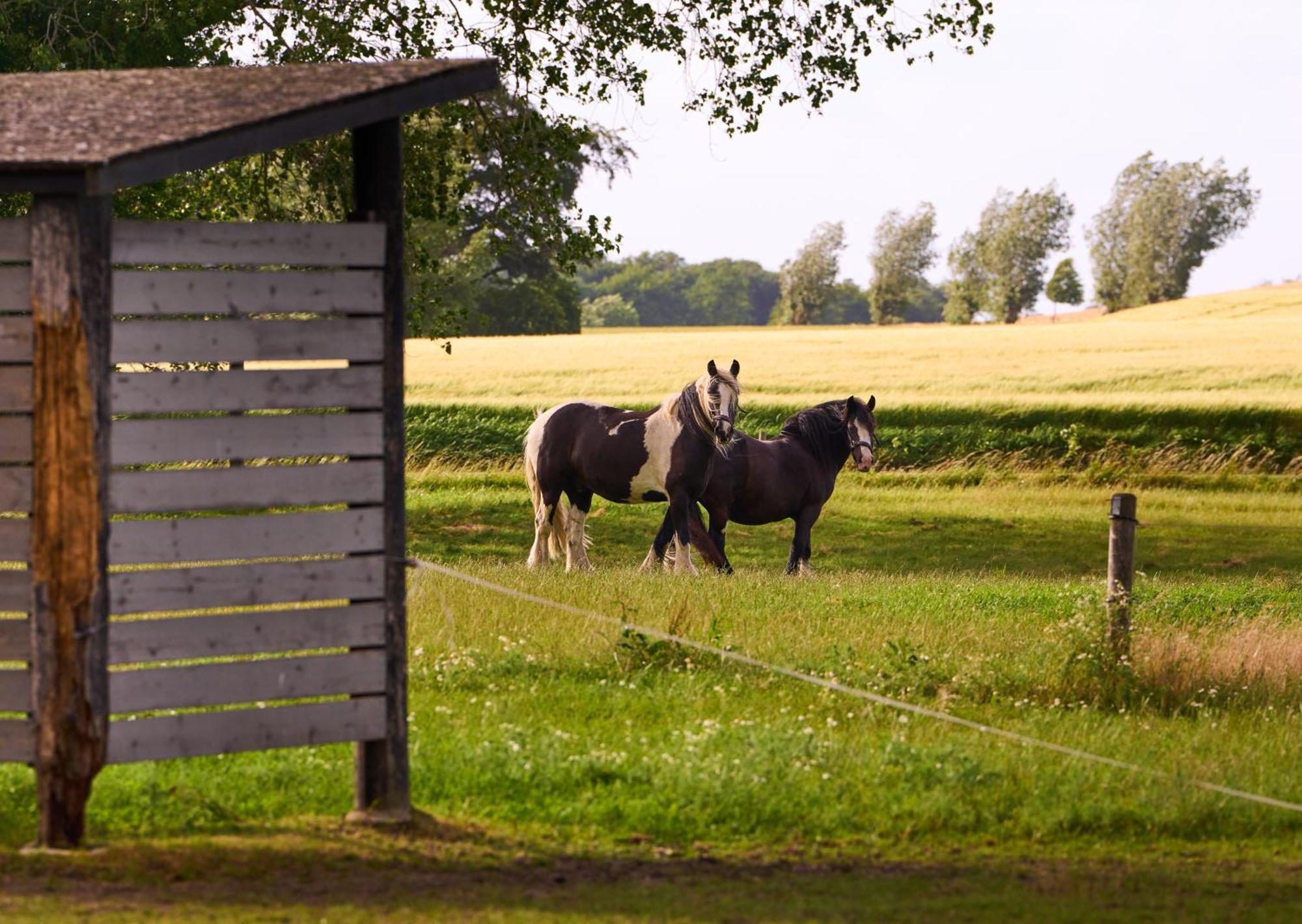 Hesselgaard Glamping Hotel Dalby Eksteriør billede