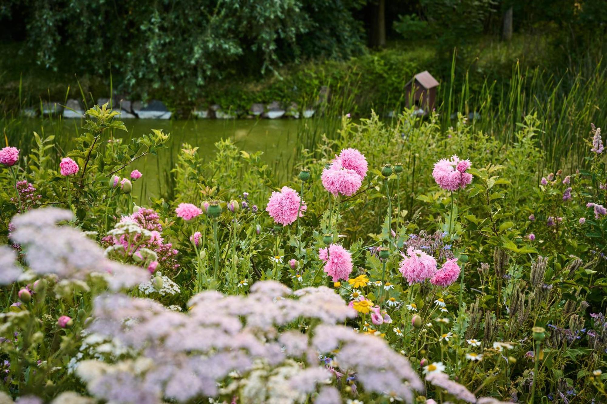 Hesselgaard Glamping Hotel Dalby Eksteriør billede